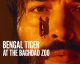 Show: Bengal Tiger at the Baghdad Zoo @ Young Vic, London
